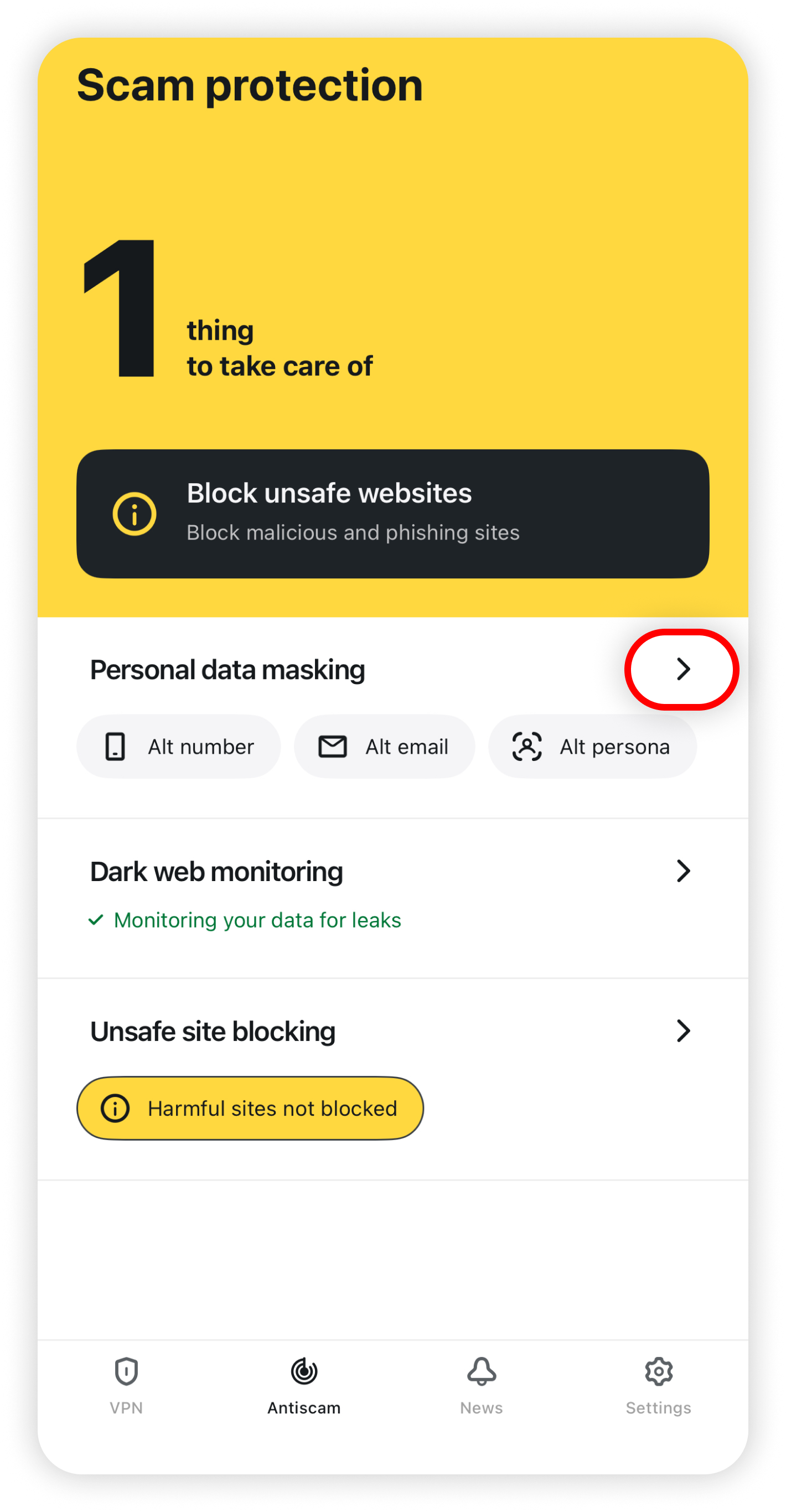 Scam protection with the Personal data masking arrow highlighted