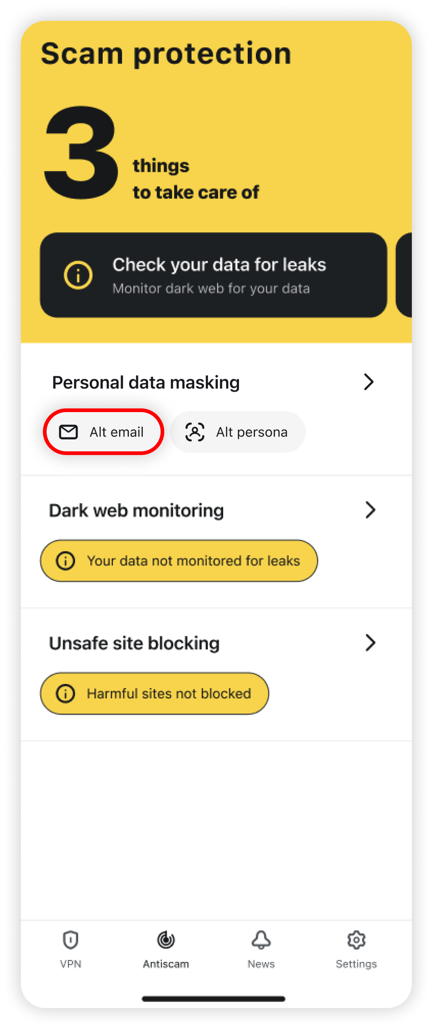 Scam protection with Alt email highlighted under Personal data masking
