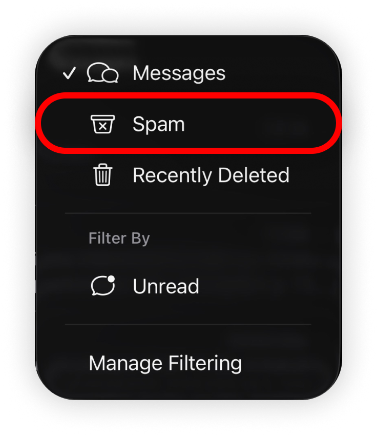 iOS Messages filter menu with Spam circled