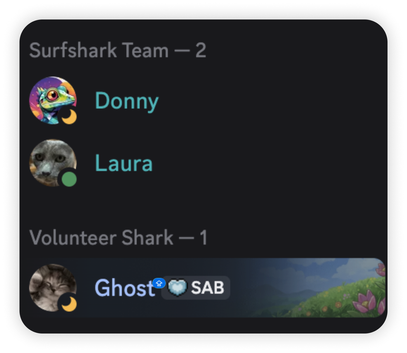 Discord member list showing Surfshark Team and Volunteer Shark roles